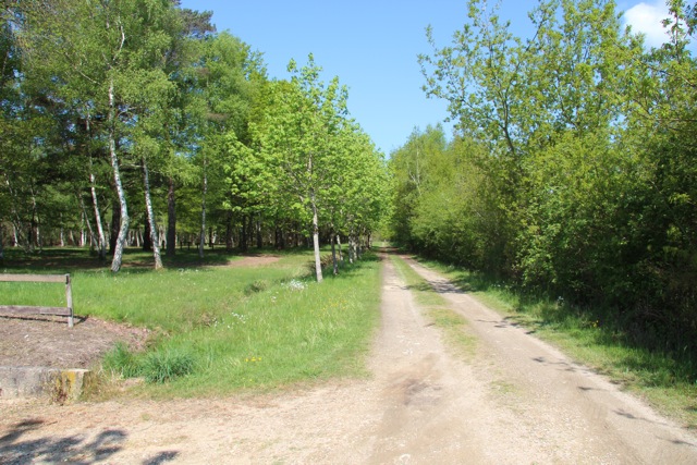 Le Chêne Centro-Valle della Loira - Pruniers-en-Sologne visuel 2/6 Le Chêne Centro-Valle della Loira - Pruniers-en-Sologne visuel 2/6