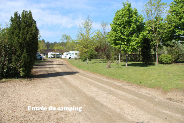 Le Chêne Centro-Valle della Loira - Pruniers-en-Sologne visuel 6/6 Le Chêne Centro-Valle della Loira - Pruniers-en-Sologne visuel 6/6