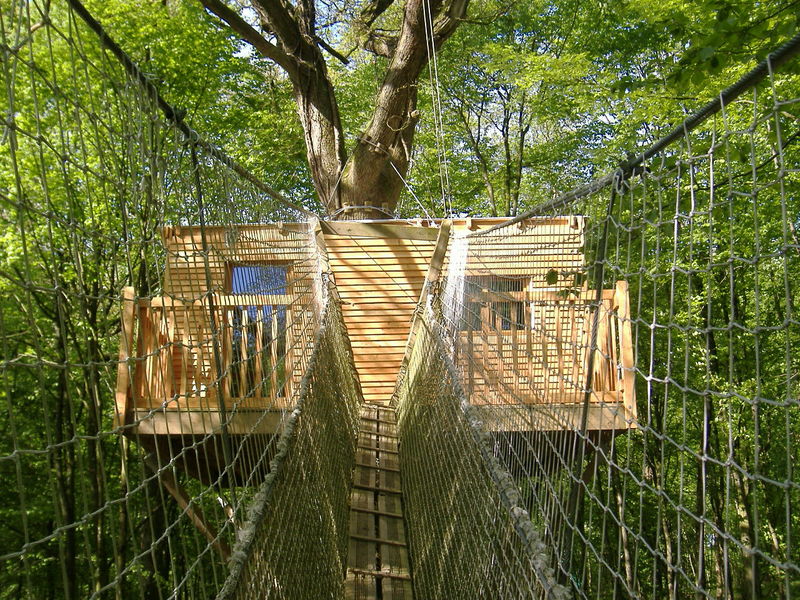 Le Chêne Perché  Champagne-Ardenne - Signy-l'Abbaye visuel 1/9