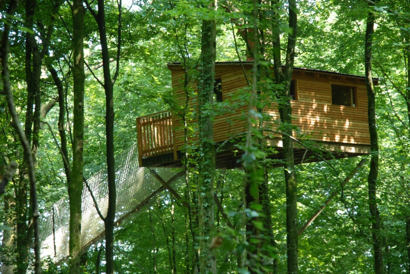 Le Chêne Perché  Champagne-Ardenne - Signy-l'Abbaye visuel 2/9