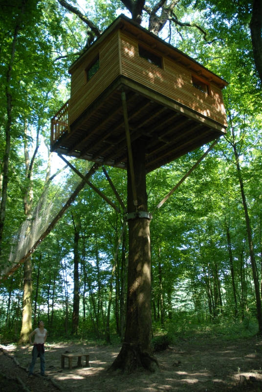 Le Chêne Perché  Champagne-Ardenne - Signy-l'Abbaye visuel 3/9