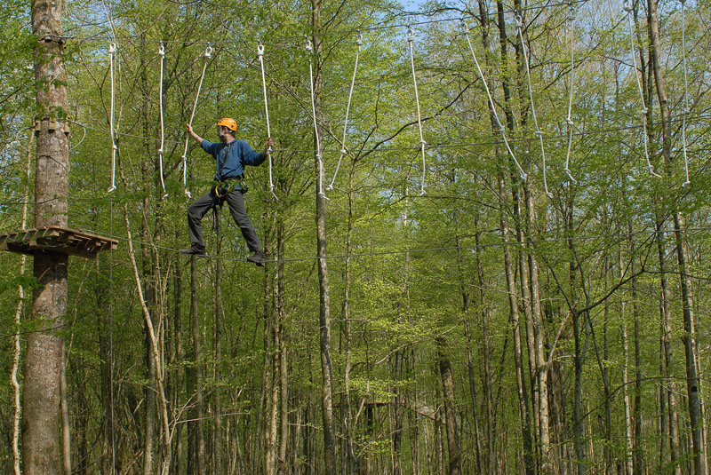 Le Chêne Perché  Champagne-Ardenne - Signy-l'Abbaye visuel 5/9