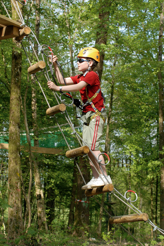 Le Chêne Perché  Champagne-Ardenne - Signy-l'Abbaye visuel 6/9