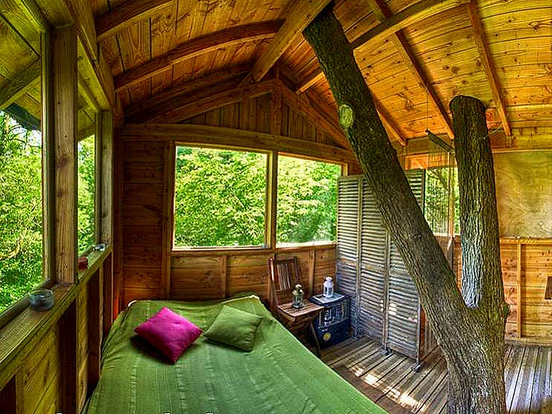 Le Chêne Perché  Champagne-Ardenne - Signy-l'Abbaye visuel 7/9