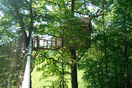 Le Chêne Perché  Champagne-Ardenne - Signy-l'Abbaye visuel 8/9