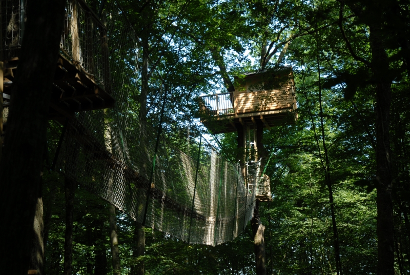Le Chêne Perché  Champagne-Ardenne - Signy-l'Abbaye visuel 9/9