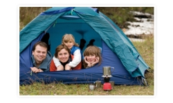 Le Chêne Tord Paesi della Loira - Mervent visuel 1/1 Le Chêne Tord Paesi della Loira - Mervent visuel 1/1