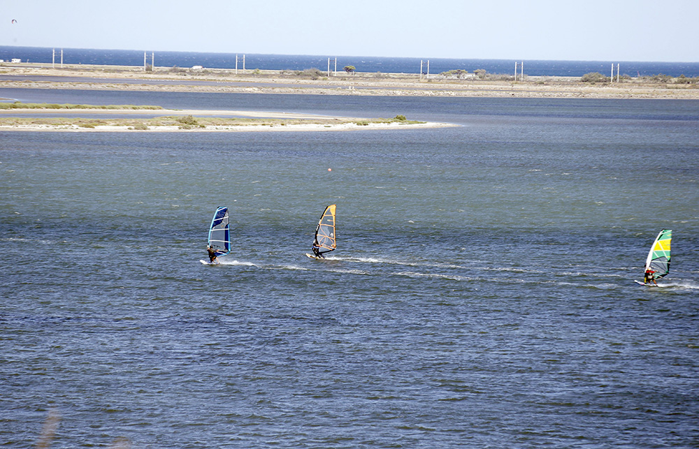 Le Clapotis Domaine Naturiste - Linguadoca-Rossiglione - La Palme visuel 5/7