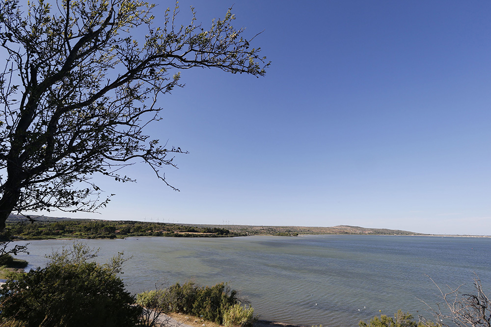 Le Clapotis Domaine Naturiste - Linguadoca-Rossiglione - La Palme visuel 7/7