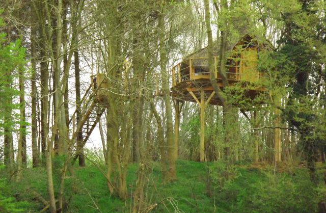 le Clos Cacheleux Piccardia - Miannay visuel 4/10 le Clos Cacheleux Piccardia - Miannay visuel 4/10