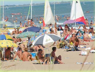 Le Sérignan nature Linguadoca-Rossiglione - Sérignan visuel 1/1