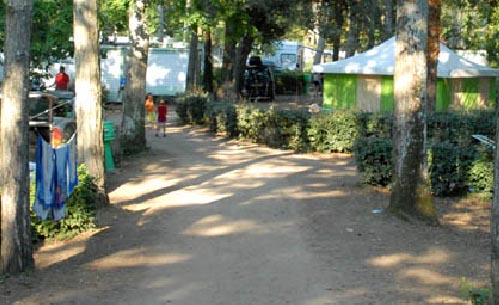 Le Clos des Pins Paesi della Loira - Longeville sur Mer visuel 6/10 Le Clos des Pins Paesi della Loira - Longeville sur Mer visuel 6/10