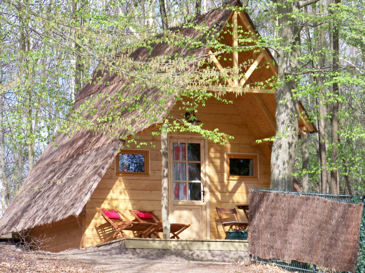 Le Coeur de la Forêt Piccardia - Pierrefonds visuel 5/6 Le Coeur de la Forêt Piccardia - Pierrefonds visuel 5/6