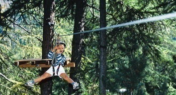 Le Domaine de Casteil Fizel Linguadoca-Rossiglione - Caudiès-de-Fenouillèdes visuel 4/5 Le Domaine de Casteil Fizel Linguadoca-Rossiglione - Caudiès-de-Fenouillèdes visuel 4/5