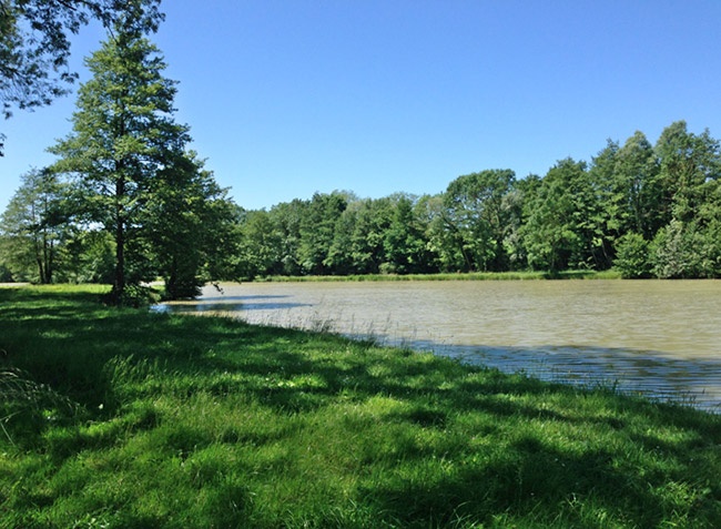 Camping de Mépillat Rodano-Alpi - Saint-Nizier-le-Bouchoux visuel 11/13