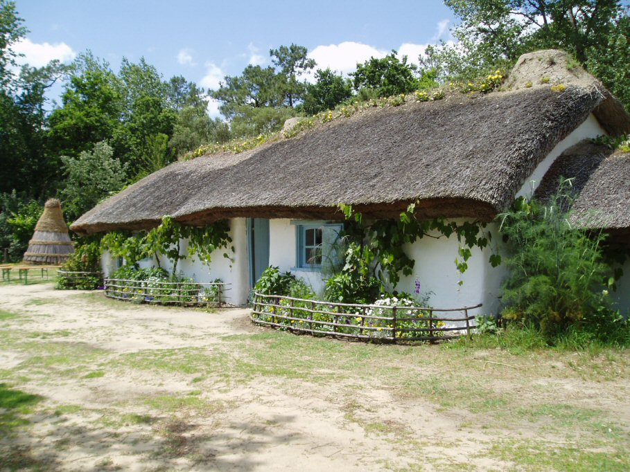 Le Domaine des Pins Paesi della Loira - Saint-Hilaire-de-Riez visuel 3/11