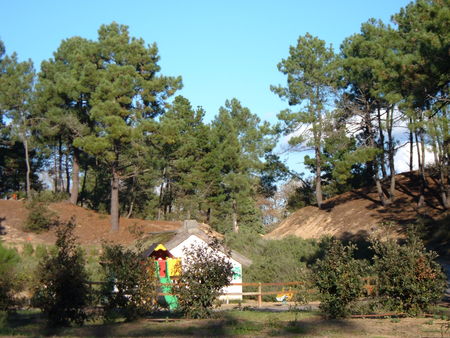 Le Domaine des Pins Paesi della Loira - Saint-Hilaire-de-Riez visuel 6/11