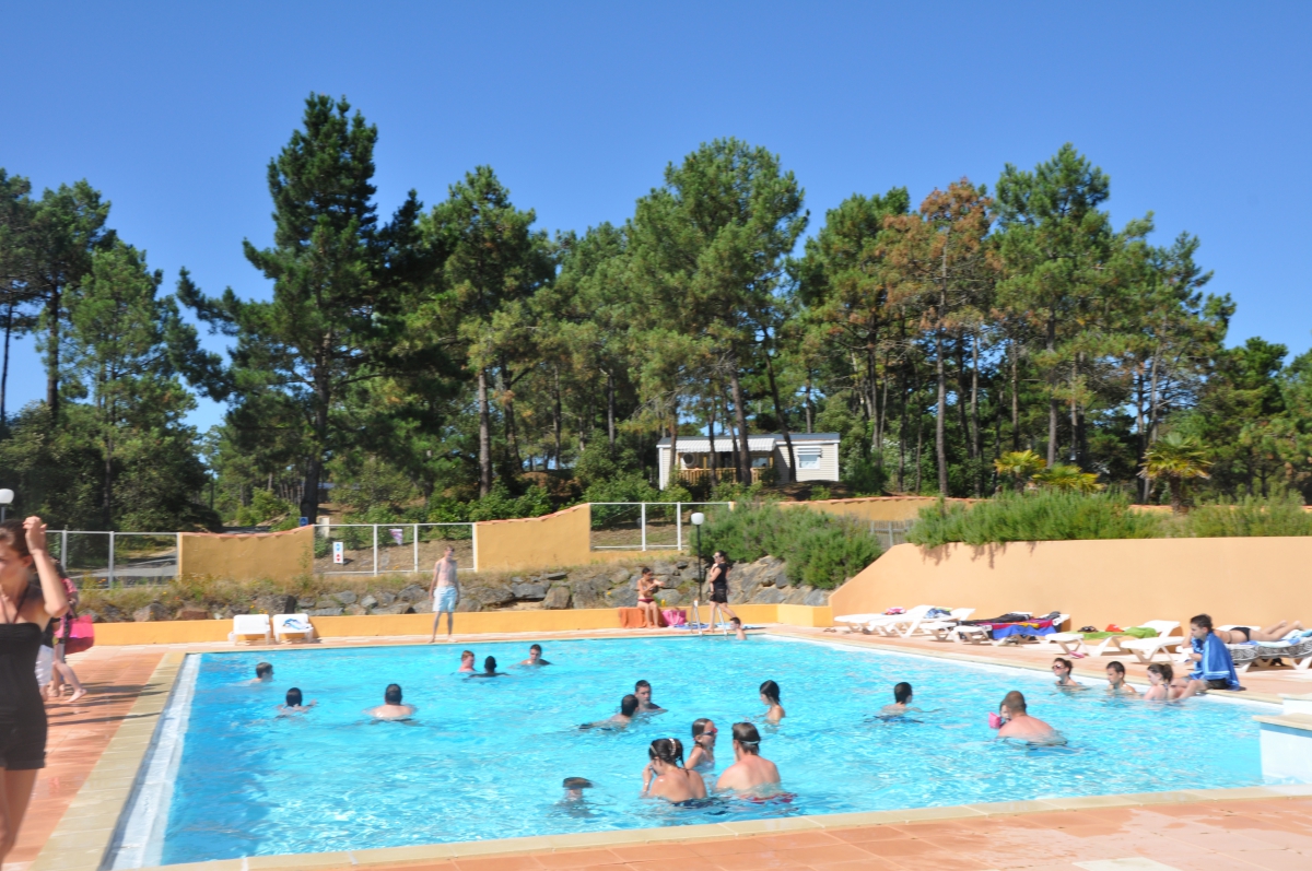 Le Domaine des Pins Paesi della Loira - Saint-Hilaire-de-Riez visuel 8/11