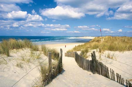 Le Domaine des Pins Paesi della Loira - Saint-Hilaire-de-Riez visuel 9/11