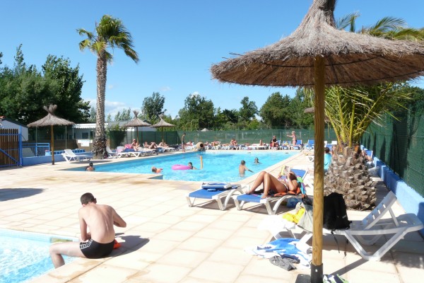 Le Flamenco Linguadoca-Rossiglione - Argelès-sur-Mer visuel 2/6 Le Flamenco Linguadoca-Rossiglione - Argelès-sur-Mer visuel 2/6