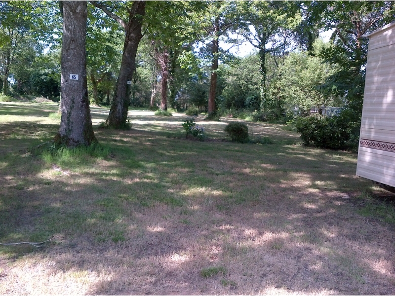 Le Fleuri Bretagna - Trégunc visuel 4/5