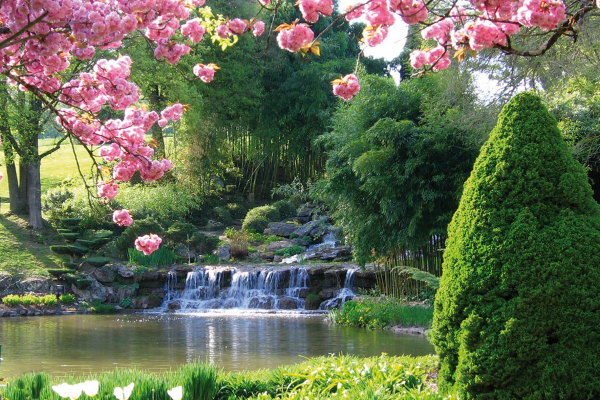 Le Floréal Linguadoca-Rossiglione - Lattes visuel 1/1