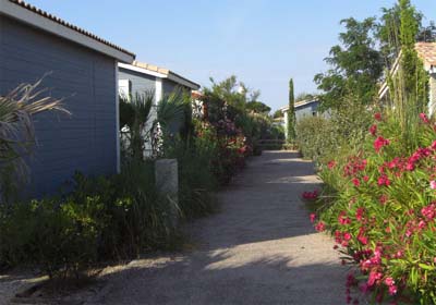 Le Hameau des Canisses Linguadoca-Rossiglione - Gruissan visuel 6/11