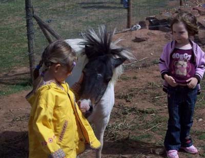 Le Hameau des Genêts Midi-Pirenei - Montlaur visuel 6/10 Le Hameau des Genêts Midi-Pirenei - Montlaur visuel 6/10