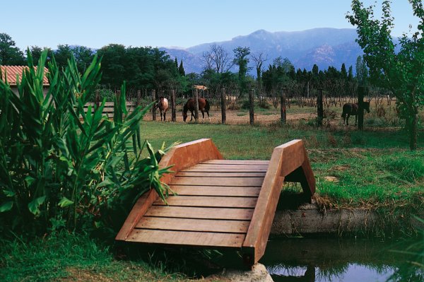 Le Haras Linguadoca-Rossiglione - Palau-del-Vidre visuel 4/10 Le Haras Linguadoca-Rossiglione - Palau-del-Vidre visuel 4/10