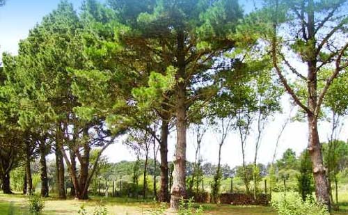 Le Kernest Bretagna - Bangor visuel 6/10