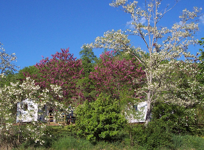 Le Lac Midi-Pirenei - Marciac visuel 6/8 Le Lac Midi-Pirenei - Marciac visuel 6/8