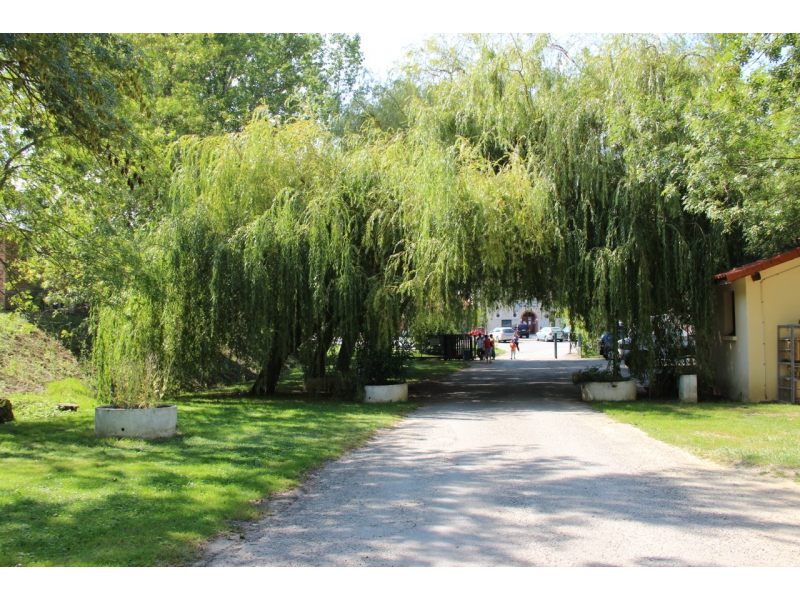 Le Lac de la Thesauque Midi-Pirenei - Montgeard visuel 3/4 Le Lac de la Thesauque Midi-Pirenei - Montgeard visuel 3/4