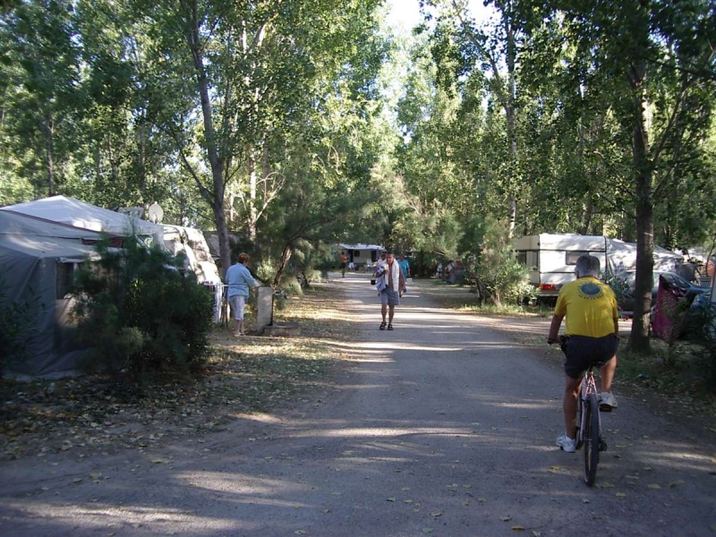 Le Lamparo Linguadoca-Rossiglione - Sainte Marie la Mer visuel 6/10