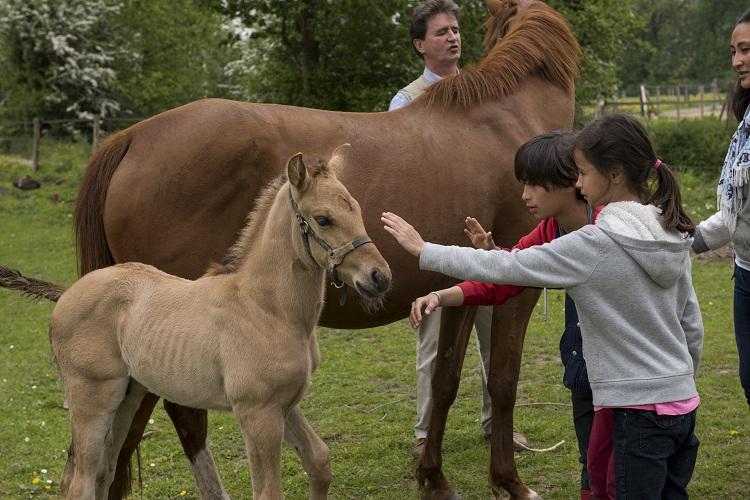 Le Lieu Dieu Piccardia - Beauchamps visuel 7/8 Le Lieu Dieu Piccardia - Beauchamps visuel 7/8
