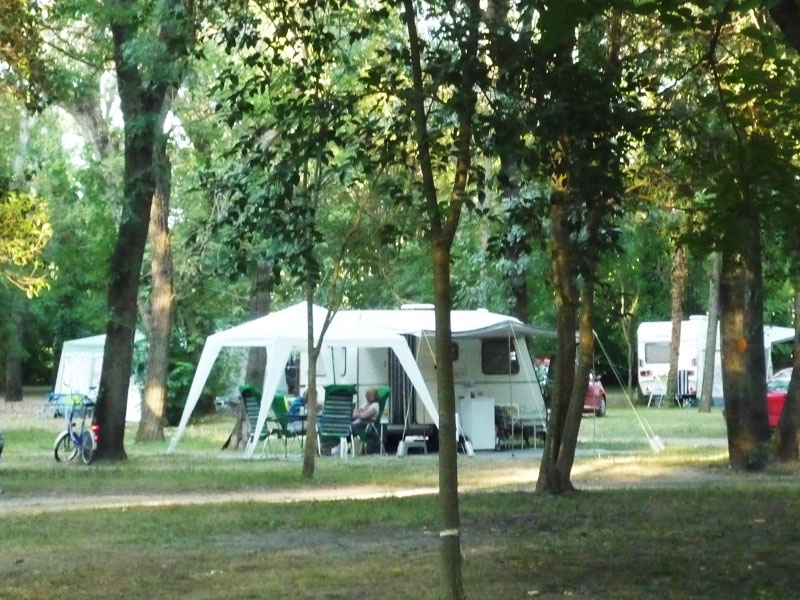 Le Lion Rodano-Alpi - Bourg-Saint-Andéol visuel 4/11