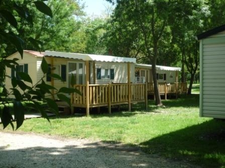 Le Lion Rodano-Alpi - Bourg-Saint-Andéol visuel 5/11