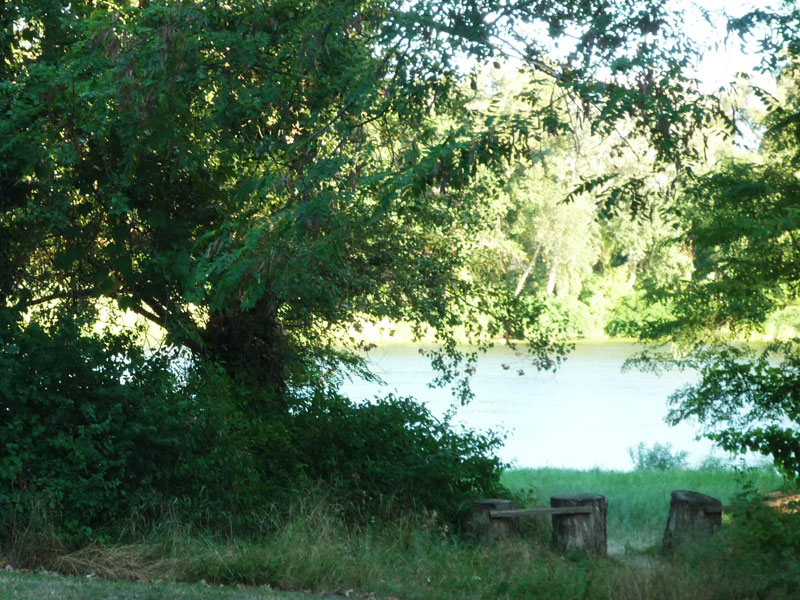 Le Lion Rodano-Alpi - Bourg-Saint-Andéol visuel 6/11