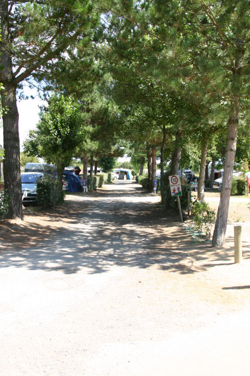 Le Littoral Paesi della Loira - Brem sur Mer visuel 7/10