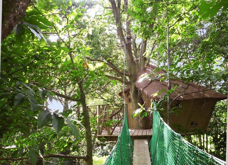 Le Manoir de l'Alleu Bretagna - La Chapelle-Chaussée visuel 2/10 Le Manoir de l'Alleu Bretagna - La Chapelle-Chaussée visuel 2/10