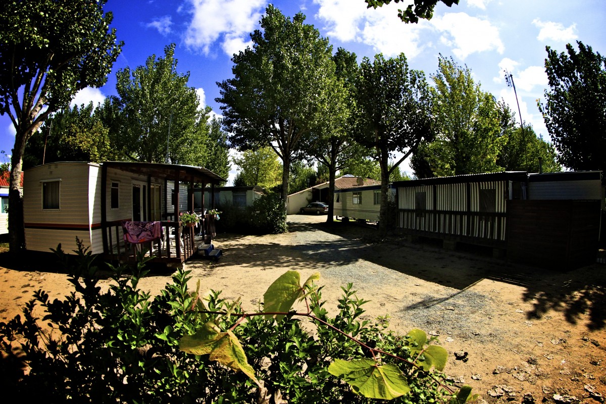 Le Marais Neuf Paesi della Loira - La Barre-de-Monts visuel 4/8 Le Marais Neuf Paesi della Loira - La Barre-de-Monts visuel 4/8