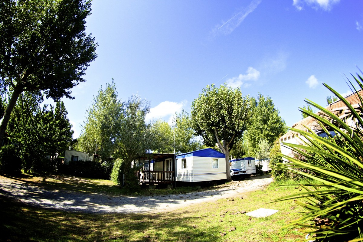 Le Marais Neuf Paesi della Loira - La Barre-de-Monts visuel 5/8 Le Marais Neuf Paesi della Loira - La Barre-de-Monts visuel 5/8