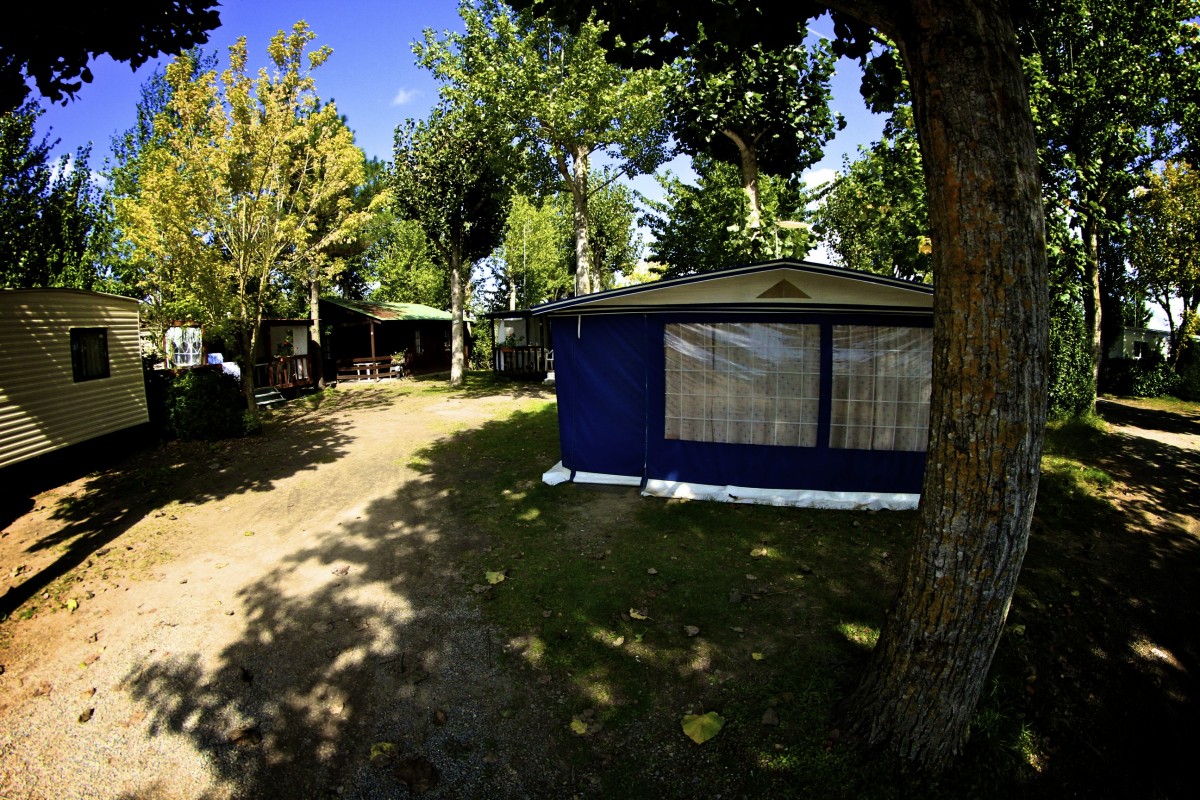 Le Marais Neuf Paesi della Loira - La Barre-de-Monts visuel 6/8 Le Marais Neuf Paesi della Loira - La Barre-de-Monts visuel 6/8