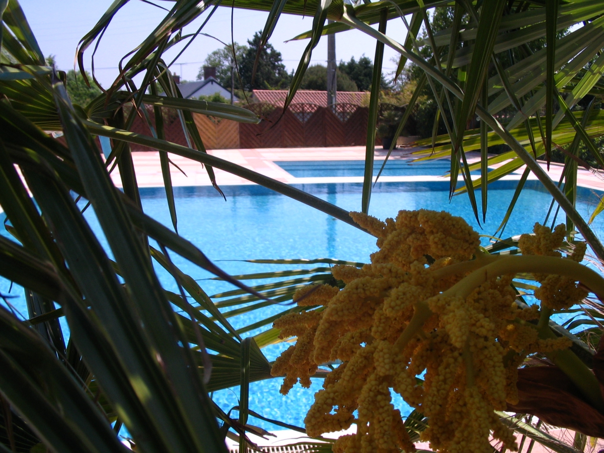 Le Marais Neuf Paesi della Loira - La Barre-de-Monts visuel 8/8 Le Marais Neuf Paesi della Loira - La Barre-de-Monts visuel 8/8