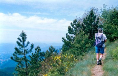 Le Martinet Linguadoca-Rossiglione - Saint-Étienne-Vallée-Française visuel 6/10