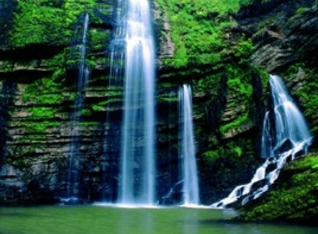 Le Martinet Franca Contea - Villard-Saint-Sauveur visuel 7/11