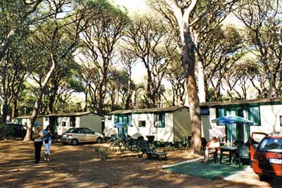 Le Marze Toscana - Marina di Grosseto visuel 12/17