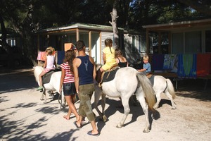 Le Mas Provenza-Alpi-Costa Azzurra - Martigues visuel 11/11 Le Mas Provenza-Alpi-Costa Azzurra - Martigues visuel 11/11