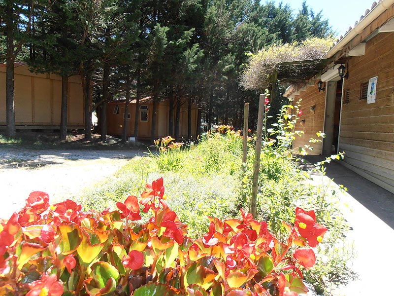 Le Matin Calme Rodano-Alpi - Vesc visuel 6/11