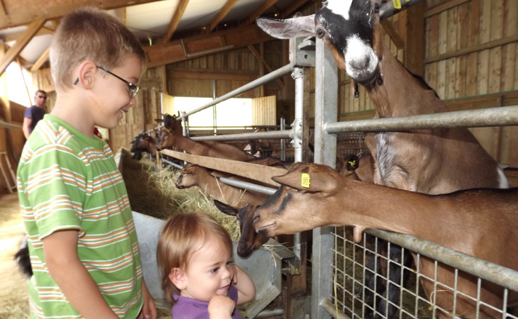 Le Matin Calme Rodano-Alpi - Vesc visuel 10/11