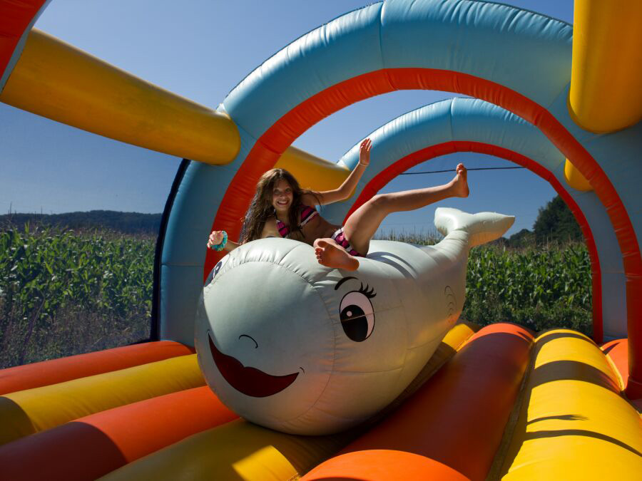 Le Monlôo Midi-Pirenei - Bagnères-de-Bigorre visuel 9/10